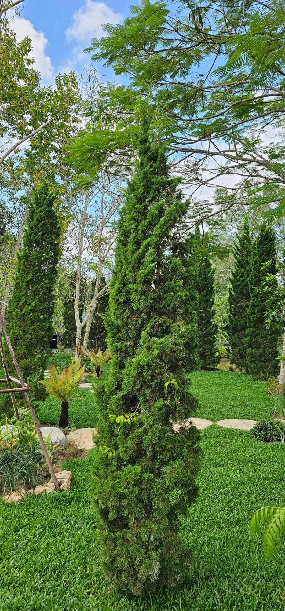 Homdoiintr Farmstay ฮ่อมดอยอินทร์ ฟาร์มสเตย์ Ban Huai Kaeo Exterior photo